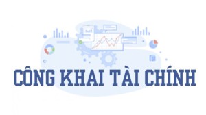 Quyết định Về việc công khai số liệu giao bổ sung dự toán chi ngân sách năm 2026
