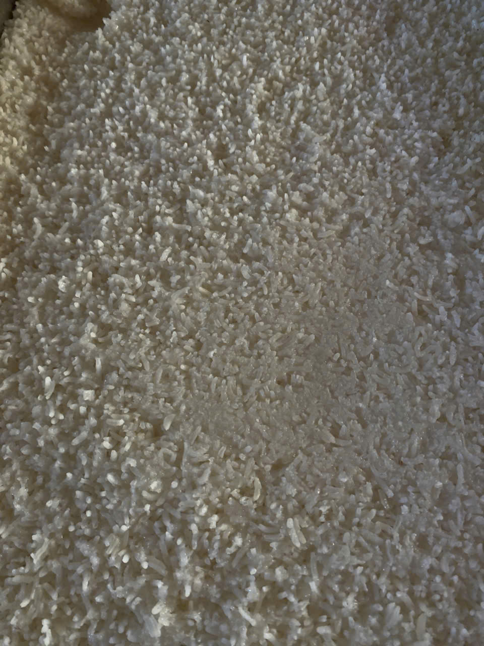 2aoboqzwmfxrlsitakfe1ommdpdmhbc7o4ttbppw10